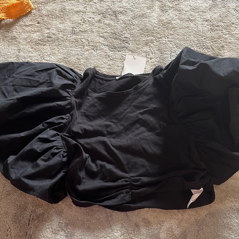 Zara NWT crop top
